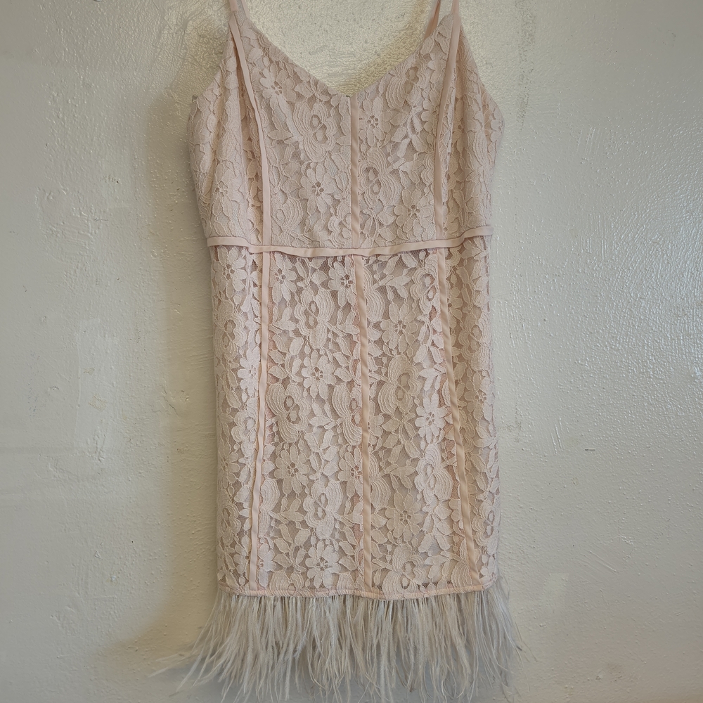 Gianni Bini Blush Lace Slip Dress with Glitter GB Logo